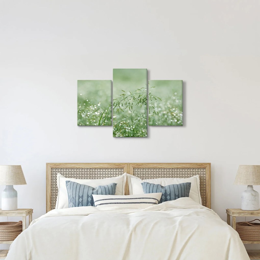 Obraz - Ranná rosa na steblach trávy (90x60 cm)