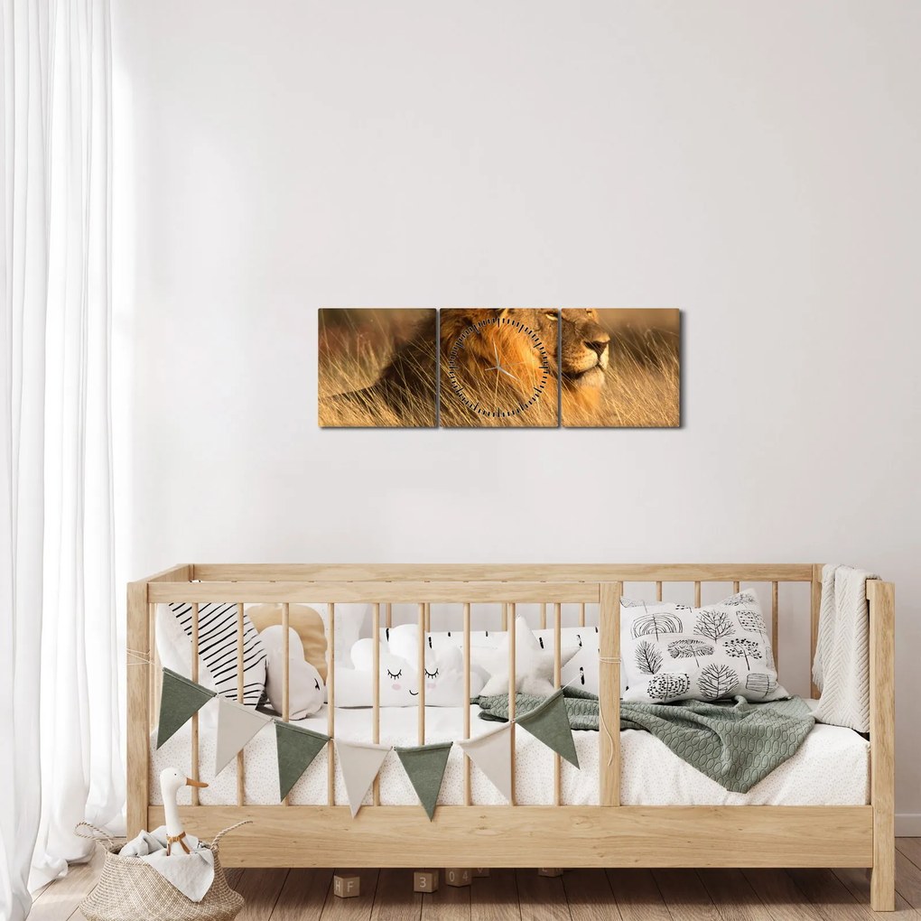 Obraz - Národný park Etosha (s hodinami) (90x30 cm)