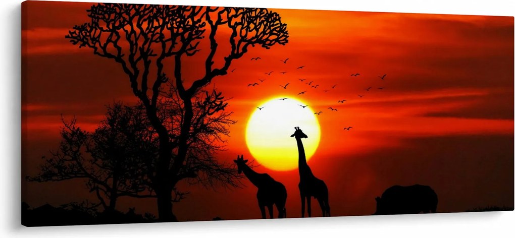 Obraz - Siluety zvierat pri západe slnka (120x50 cm)