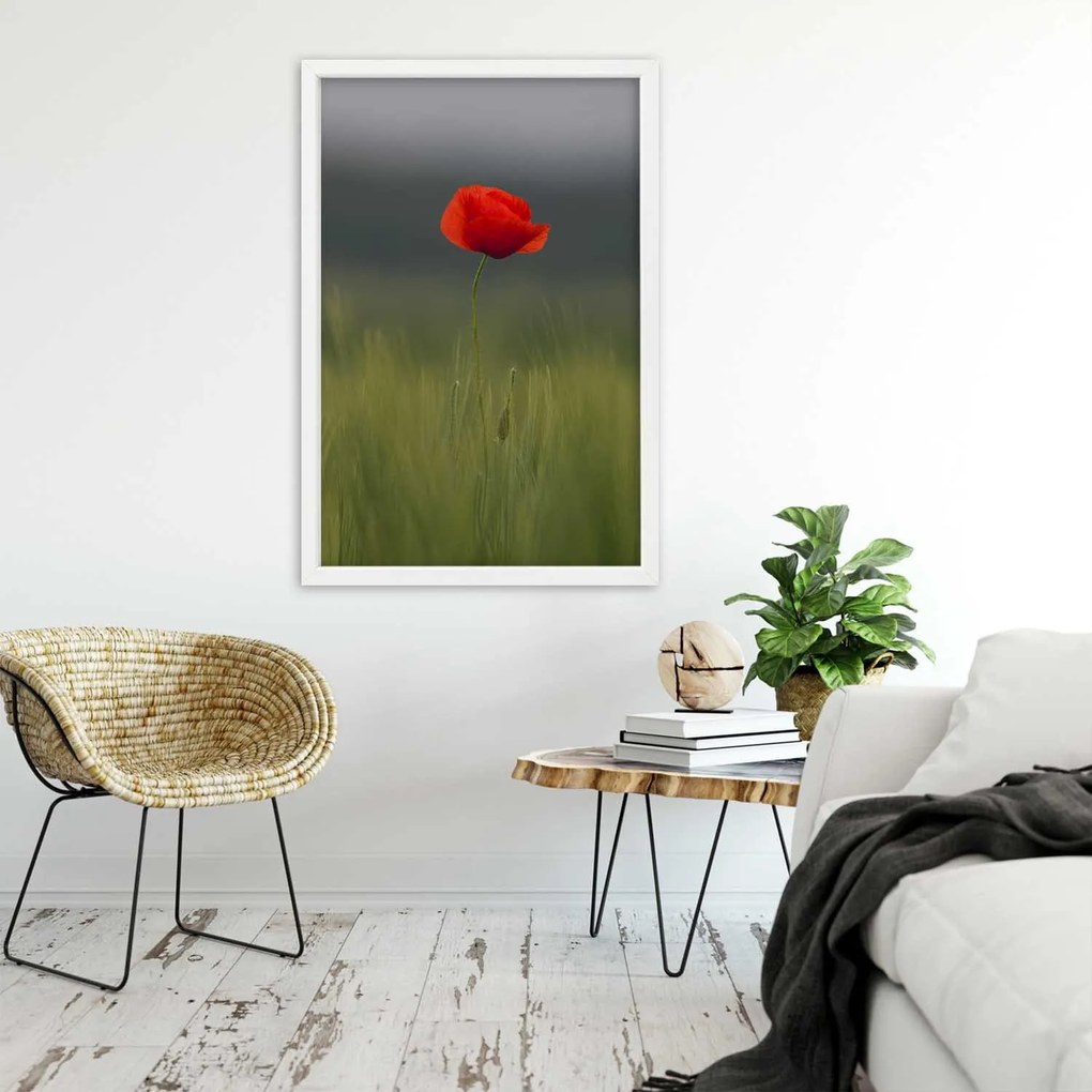 Gario Plagát Mak na poli Farba rámu: Bez rámu, Rozmery: 40 x 60 cm