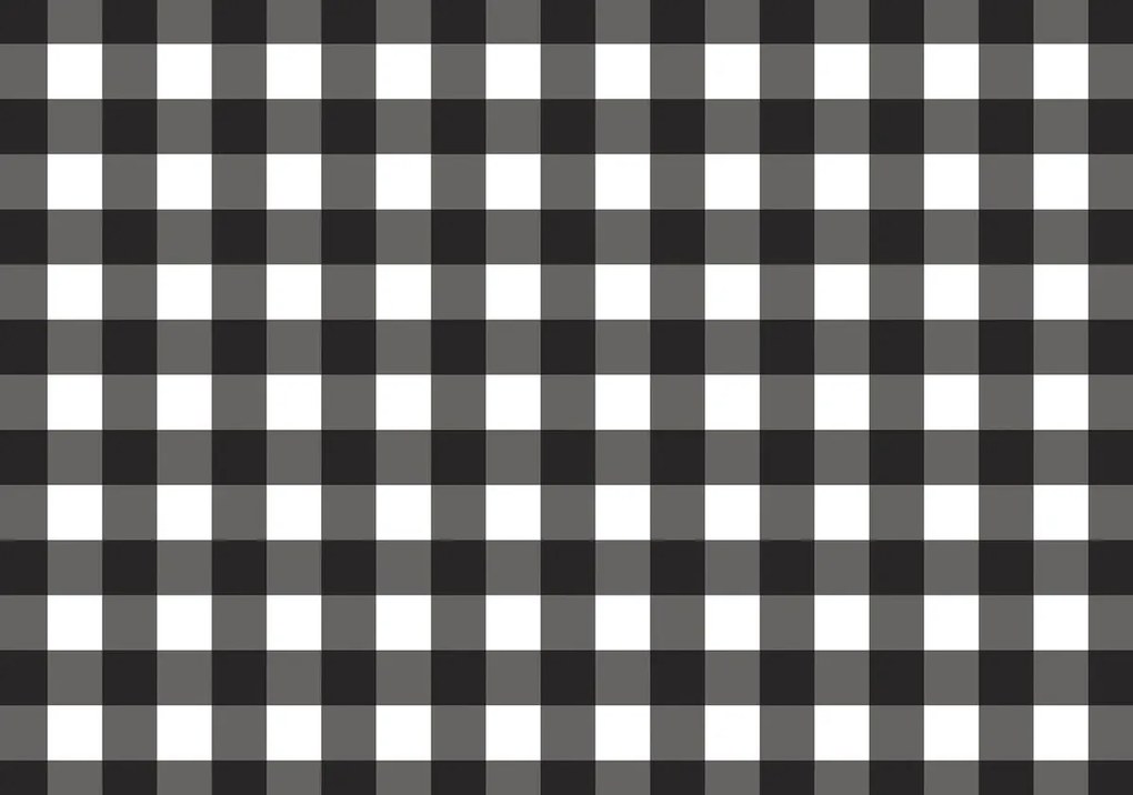 Fototapeta - Čiernobiela dáma (254x184 cm)