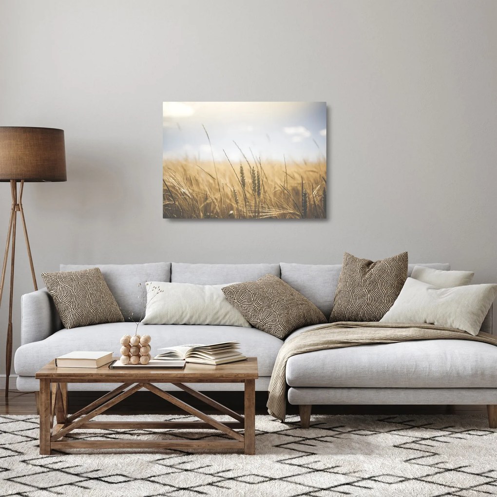 Sklenený obraz obilia (70x50 cm)