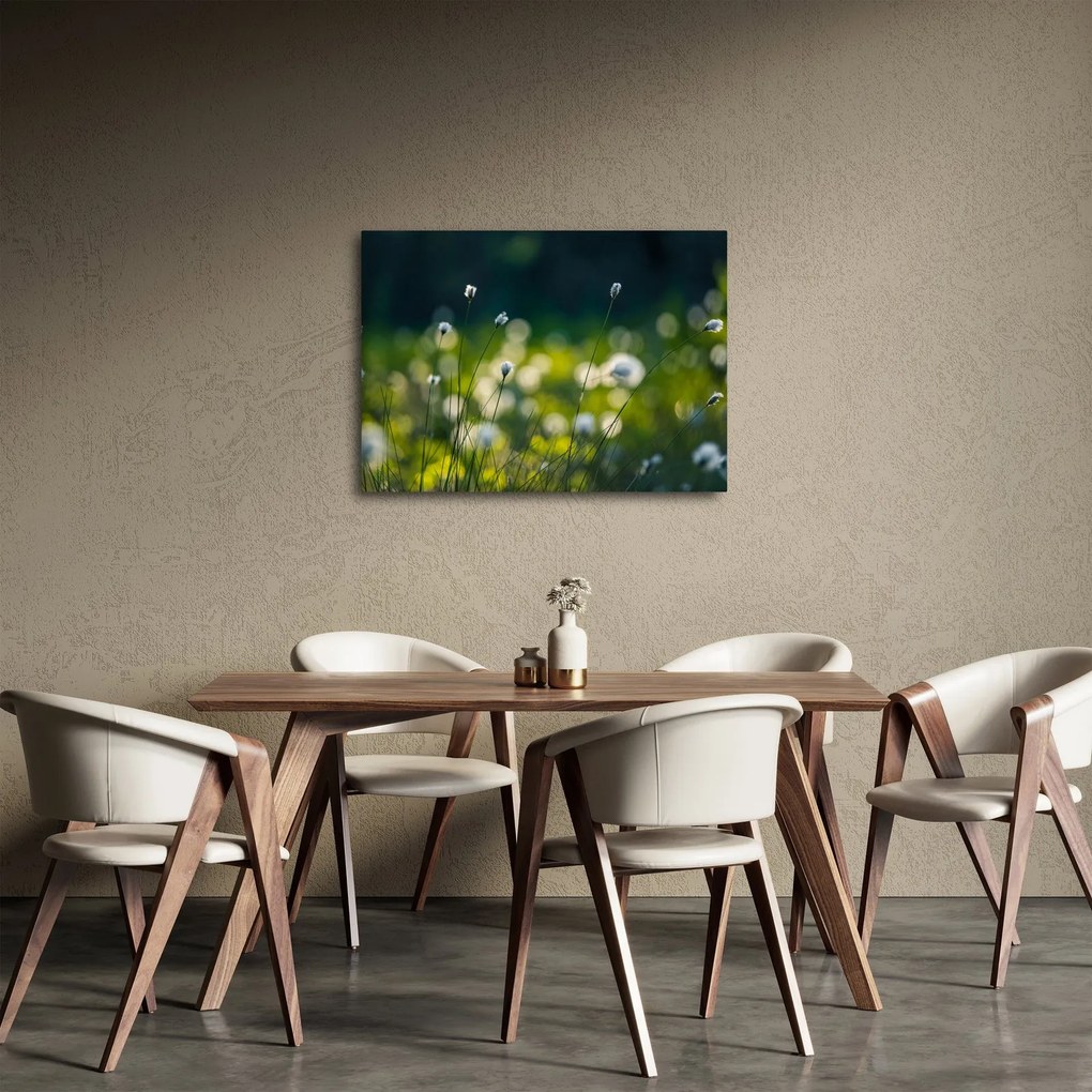 Obraz - Tráva (70x50 cm)