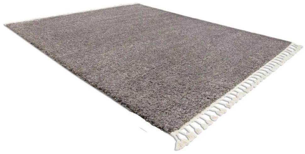 Kusový koberec Shaggy Berta hnedý 240x330cm