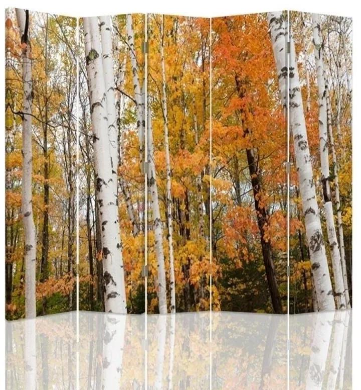 Ozdobný paraván, Březový les na podzim - 180x170 cm, päťdielny, obojstranný paraván 360°