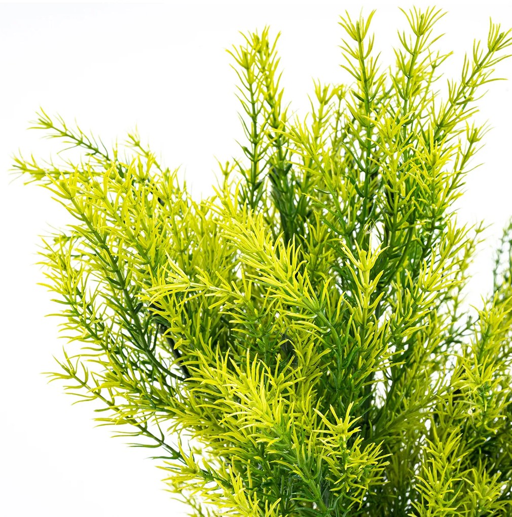 Umelý zväzok Asparagus, 53 cm