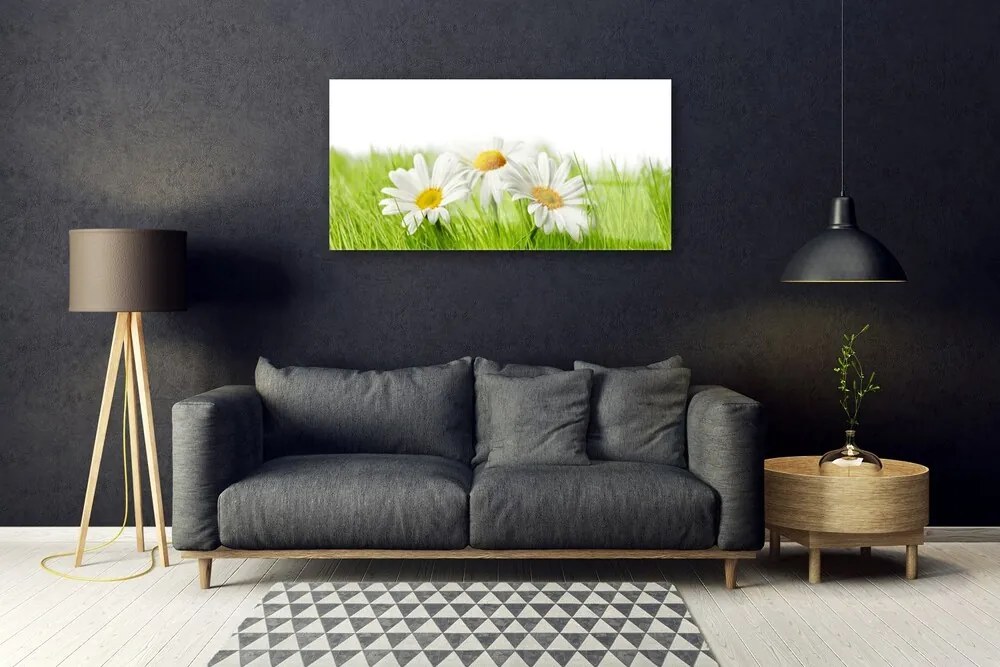 Skleneny obraz Sedmokráska kvety rastlina 100x50 cm