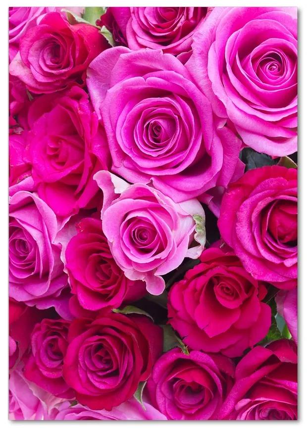 Moderný akrylový fotoobraz Ružové ruže pl-oa-70x100-f-119338760