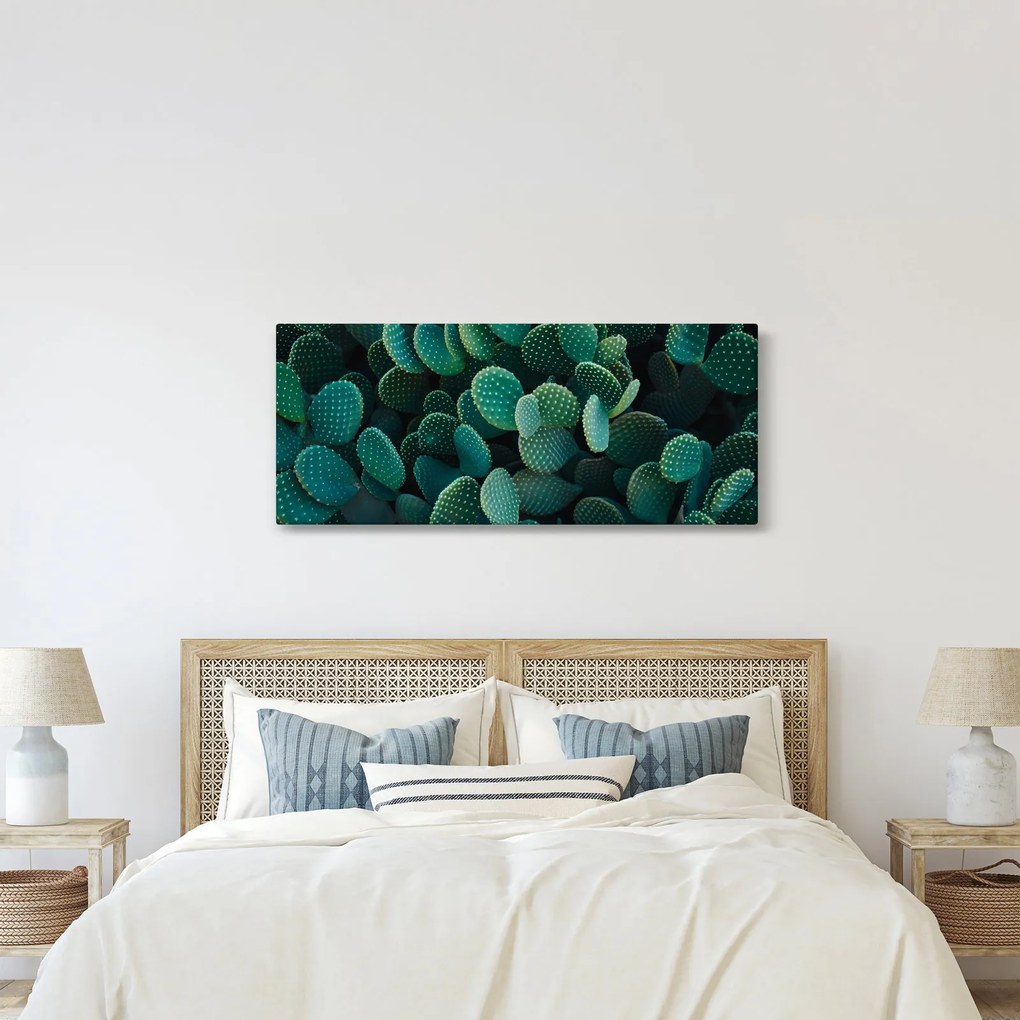 Obraz - Opuncie (120x50 cm)