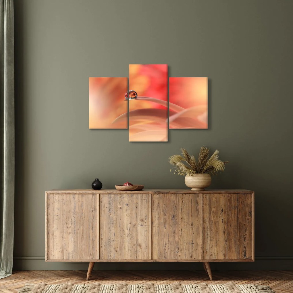 Obraz kvetinové kvapky rosy (90x60 cm)