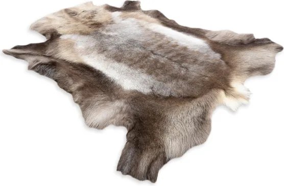 Koberec RENIFER POK009 hnedý / sivý