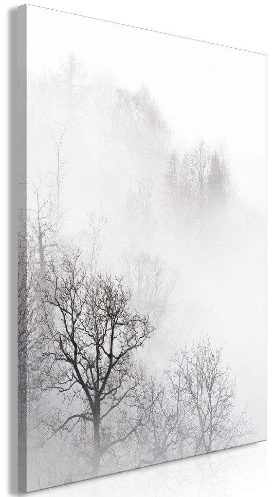 Artgeist Obraz - Trees In The Fog (1 Part) Vertical Veľkosť: 40x60, Verzia: Standard