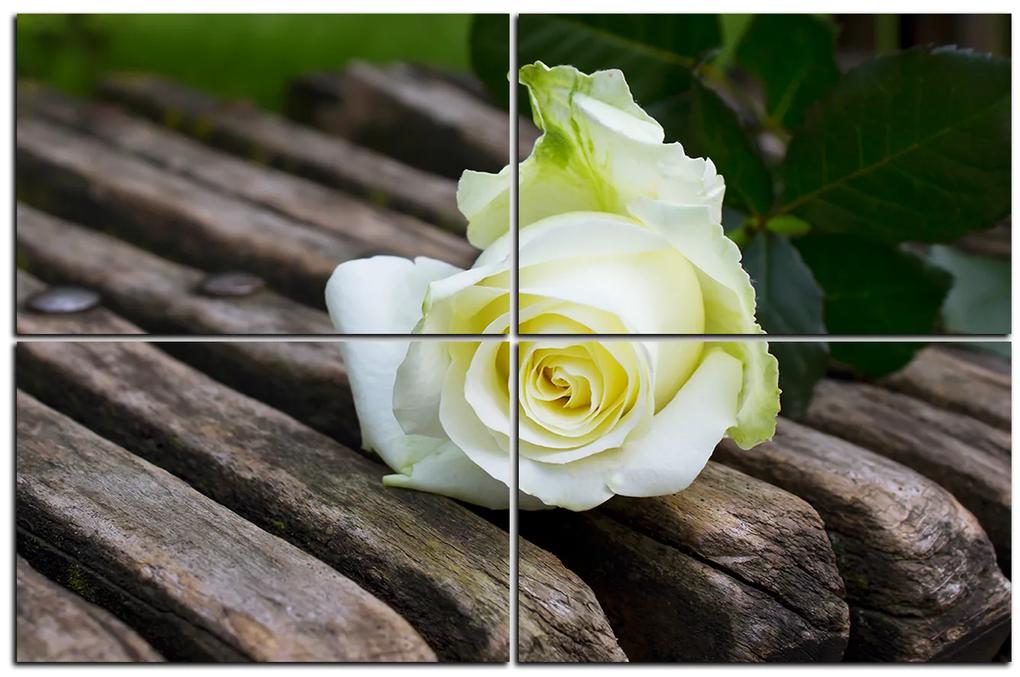 Obraz na plátne - Biela ruža na lavici 1224E (150x100 cm)