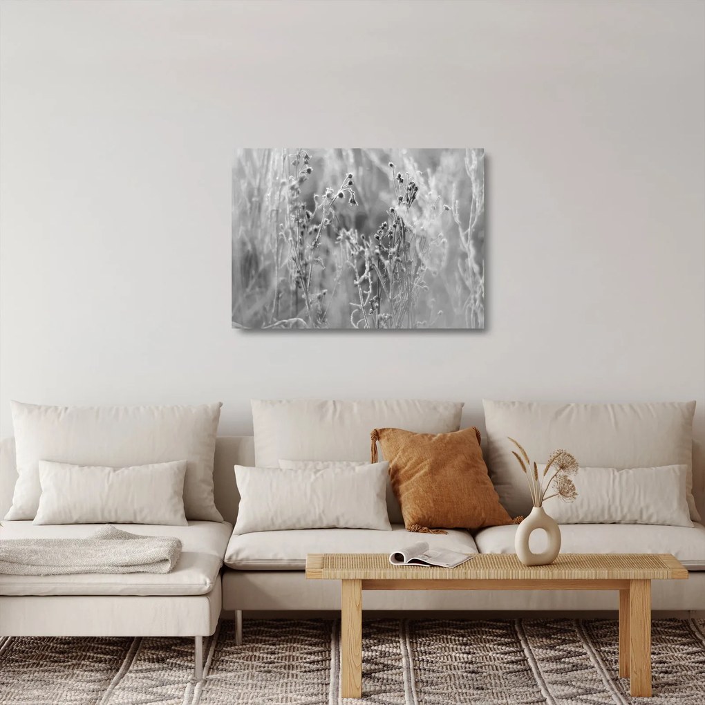 Sklenený obraz - Divoká lúka (70x50 cm)