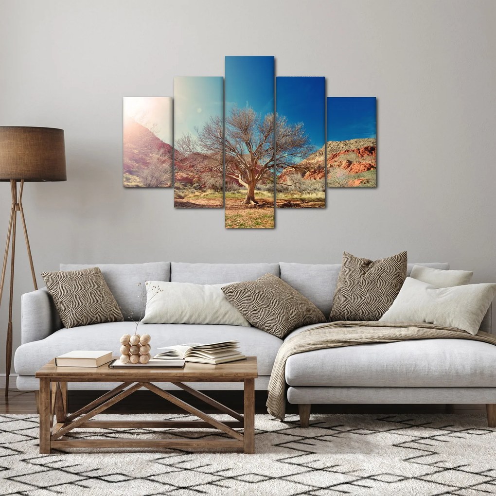 Obraz stromu v púšti (150x105 cm)