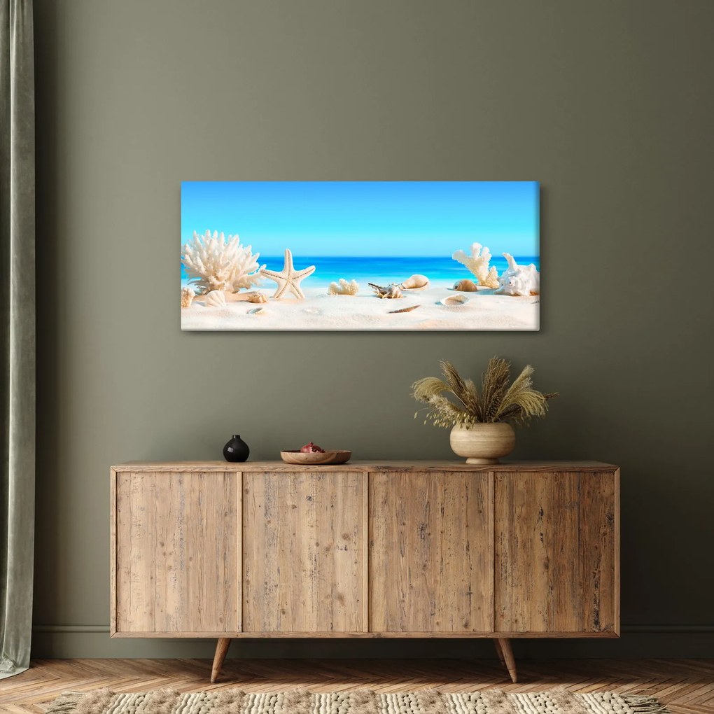 Obraz - Zátišie s mušľami (120x50 cm)