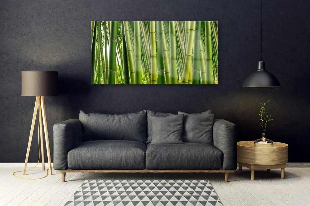 Obraz plexi Bambusový les bambusové výhonky 120x60 cm