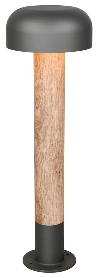 Stĺpové vonkajšie svietidlo ø 19 cm Fraser – Trio