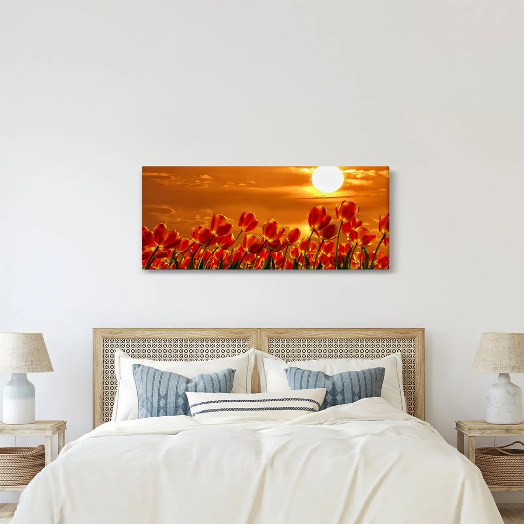 Obraz rozkvitnutého lánu s tulipánmi (120x50 cm)