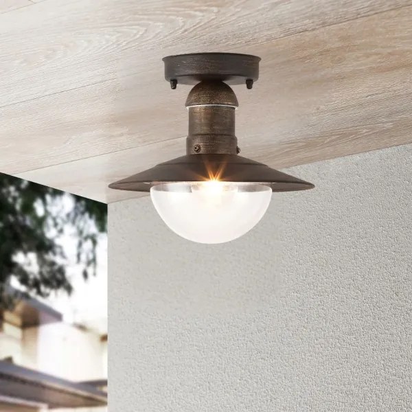 Brilagi - Vonkajšie stropné svietidlo MOLDE 1xE27/60W IP44 bronzová/patina