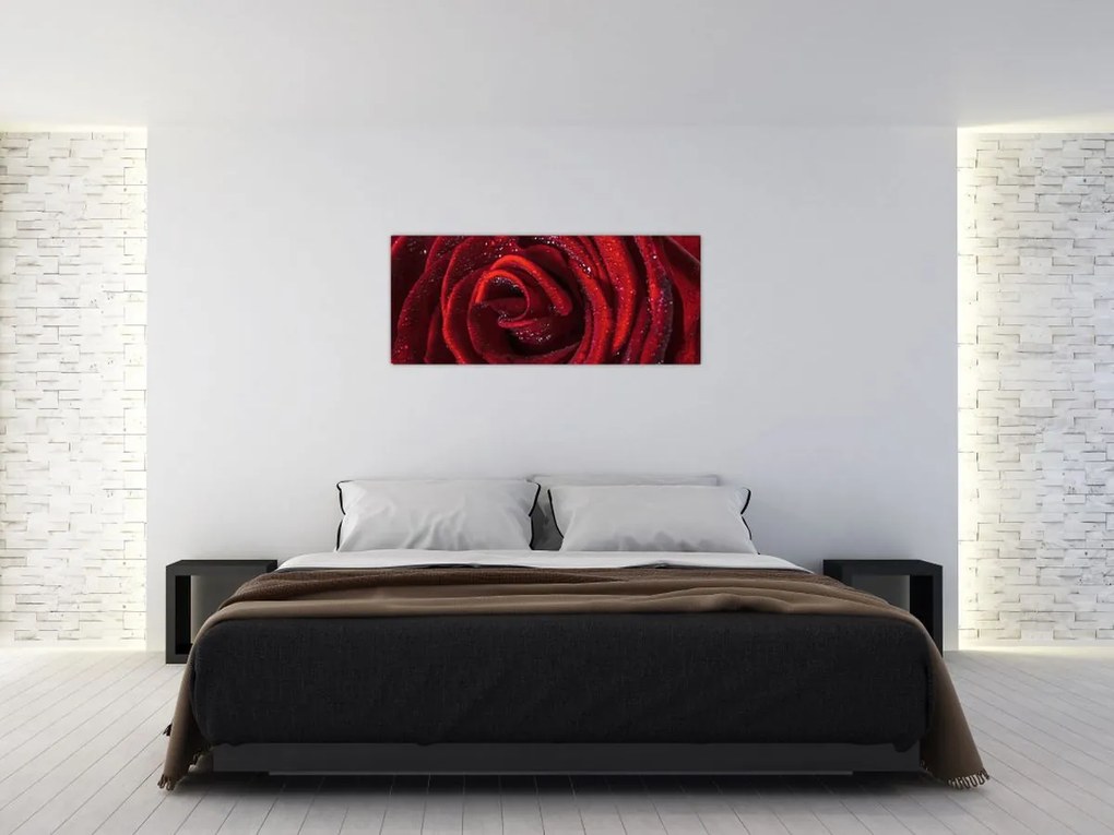 Obraz - Červená ruža s kvapkami rosy (120x50 cm)