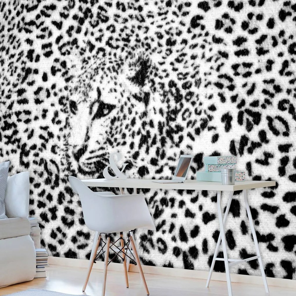 Fototapeta - Čiernobiela - gepard (152,5x104 cm)