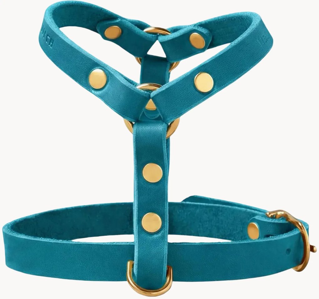 Kožený postroj pre psa Y-Harness, rôzne veľkosti