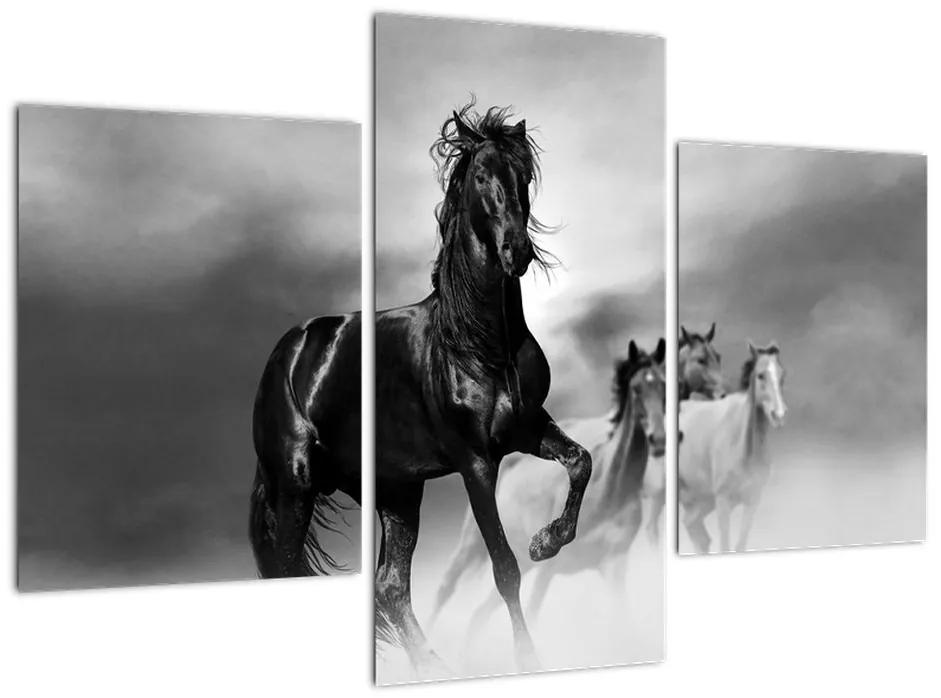 Čiernobiely obraz koňov