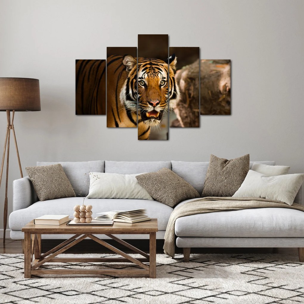 Obraz tigra (150x105 cm)