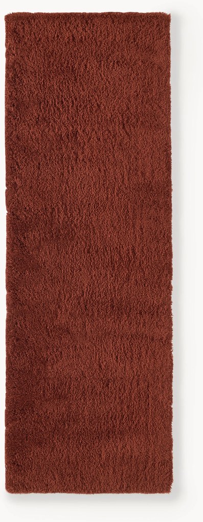 Behúň s vysokým vlasom Leighton