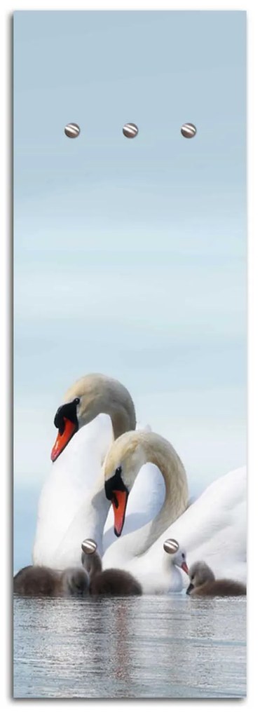 Gario Vešiak na stenu Labute Rozmery: 40 x 118 cm