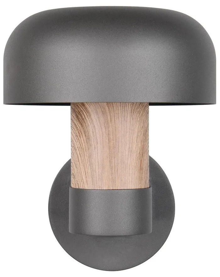 Nástenné vonkajšie svietidlo (výška 24,5 cm) Fraser – Trio