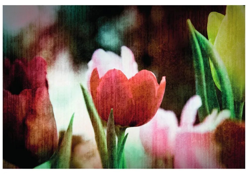 Samolepiaca tapeta lúka tulipánov v retro štýle