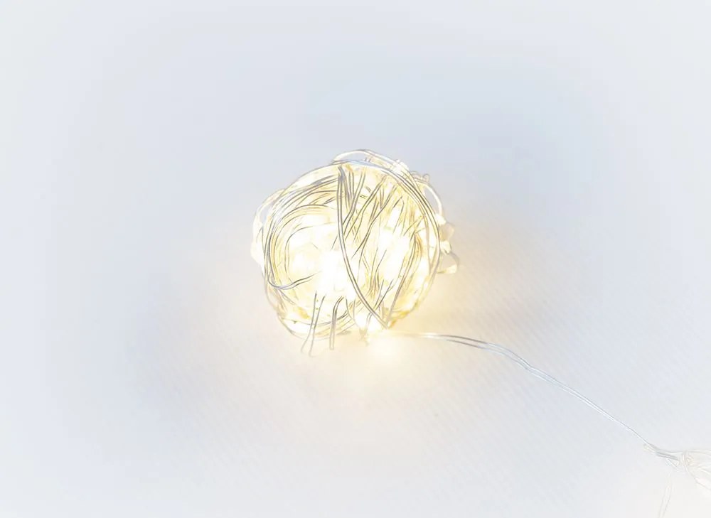 Nexos 57407 LED osvetlenie strieborný drôt, 40 LED, teplá biela
