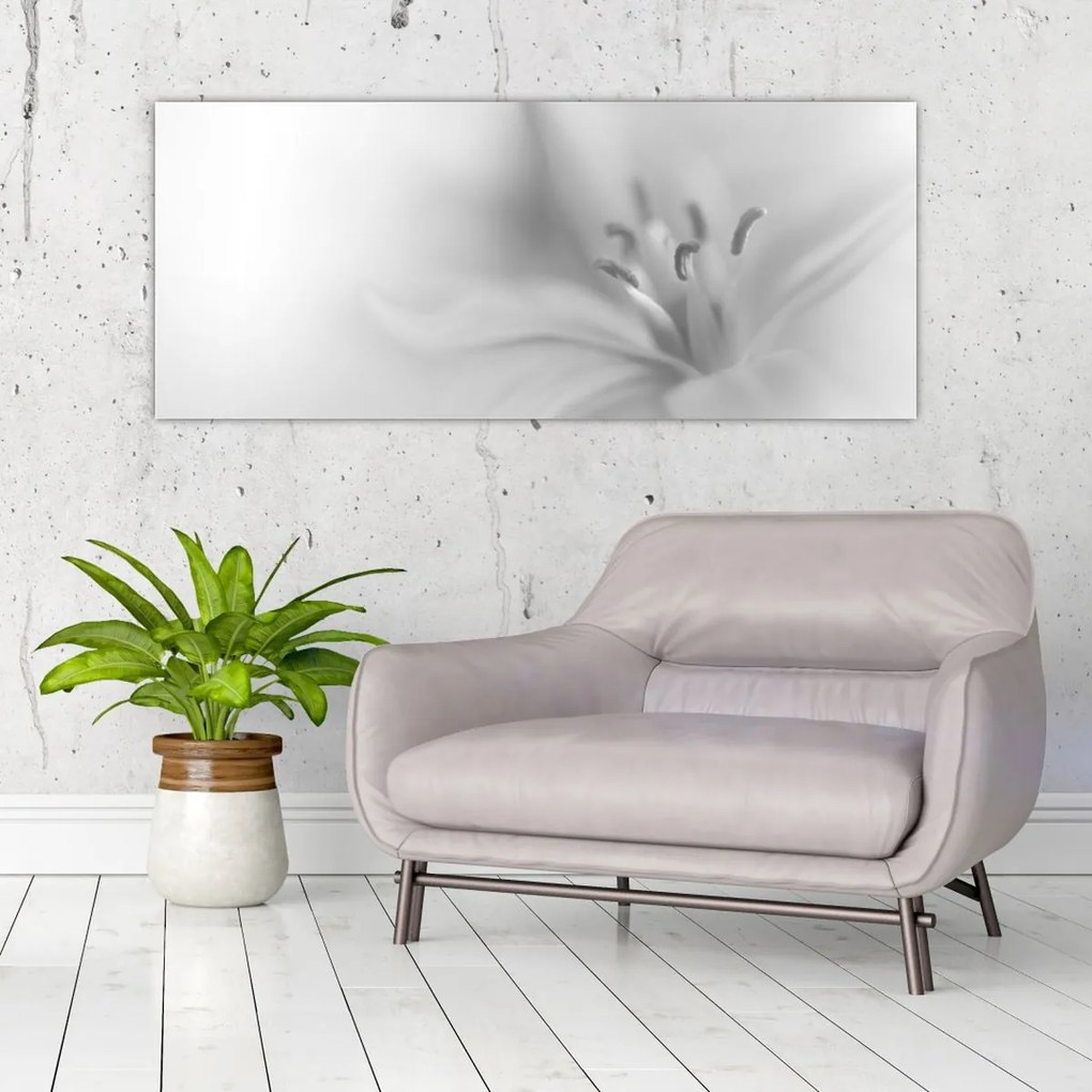 Obraz - Jemná ľalia (120x50 cm)