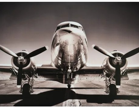 Obraz tlačený na plátne 60x80 PRC1101