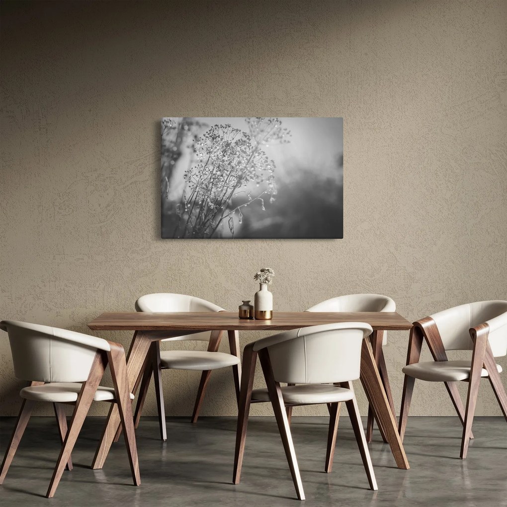 Obraz - Lúka po daždi (90x60 cm)