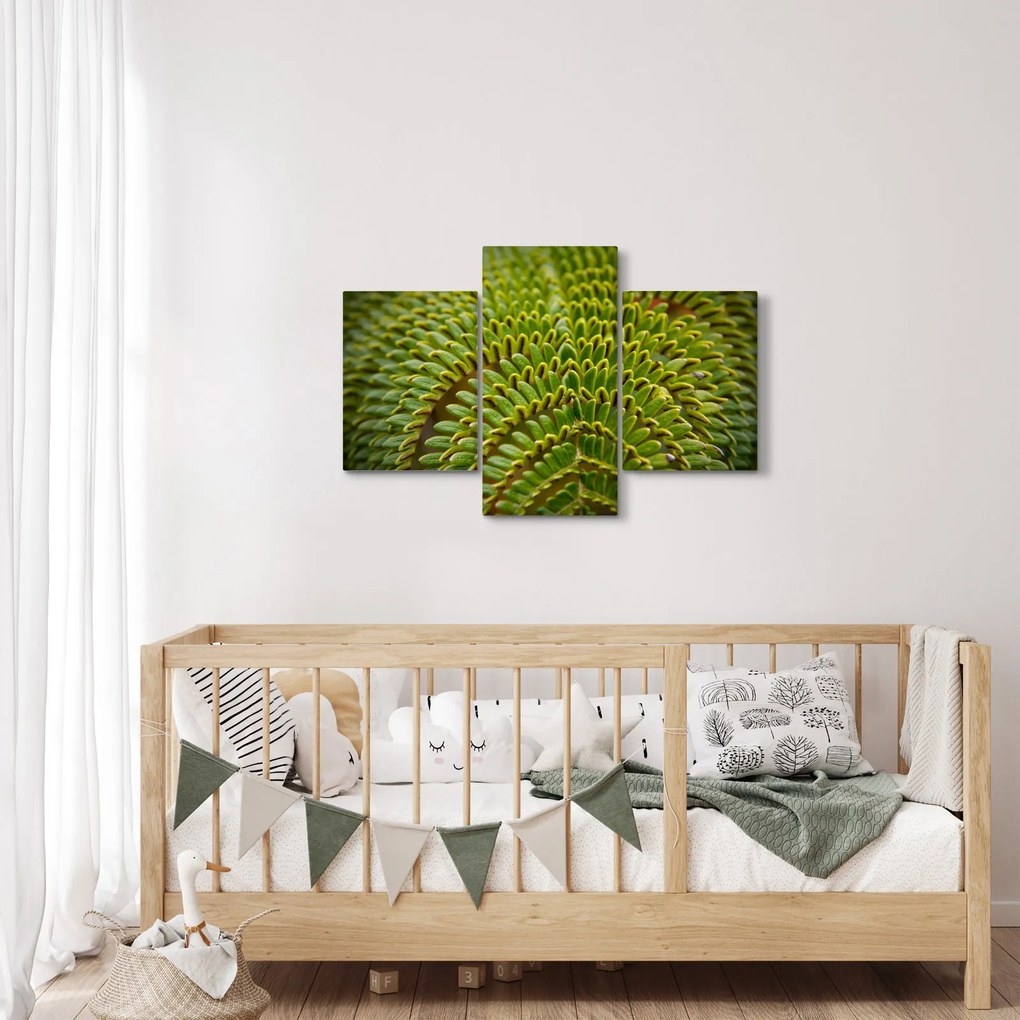 Obraz - Papraď (90x60 cm)
