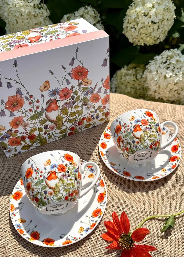 Porcelánová šálka s podšálkou Wild Birds 280 ml sada 2ks