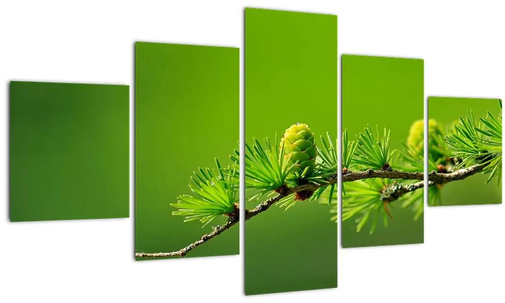 Obraz zelenej šišky (125x70 cm), 40 ďalších rozmerov