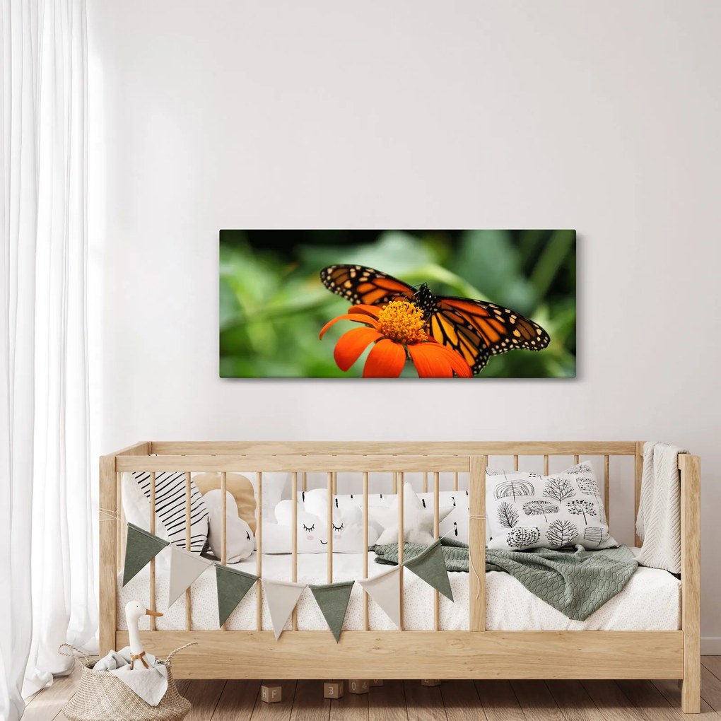 Obraz motýľa na kvetine (120x50 cm)