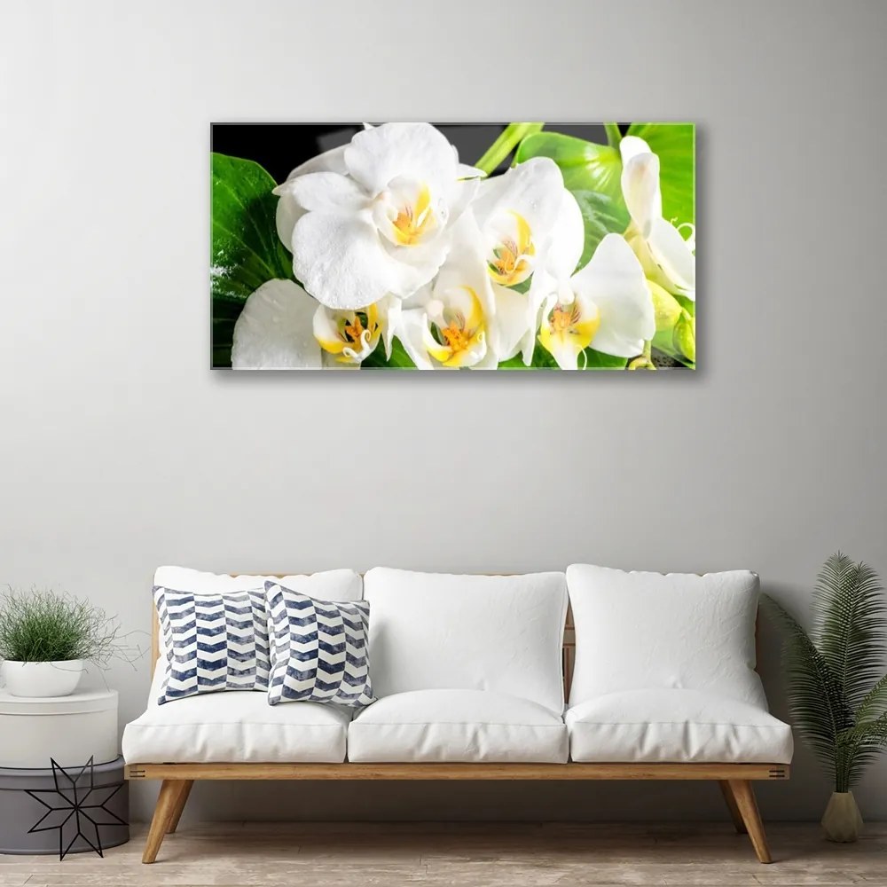 Skleneny obraz Orchidea kvety príroda 140x70 cm