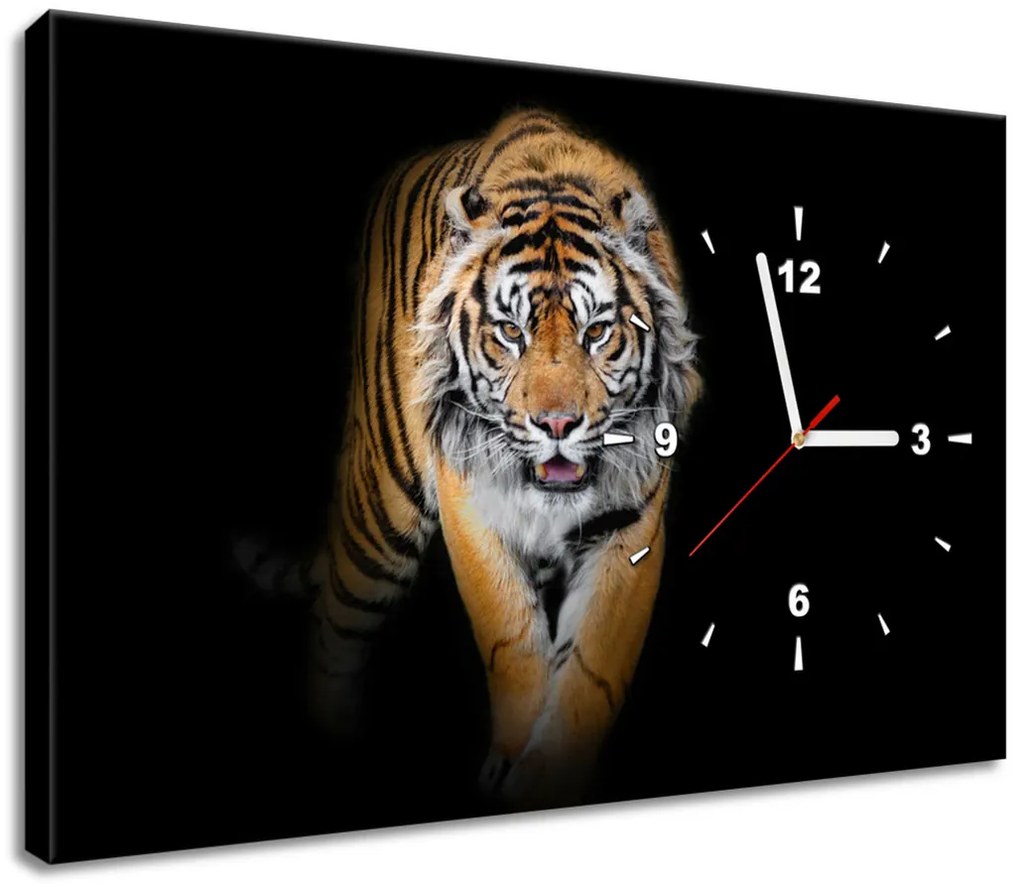 Gario Obraz s hodinami Silný tiger Rozmery: 30 x 30 cm