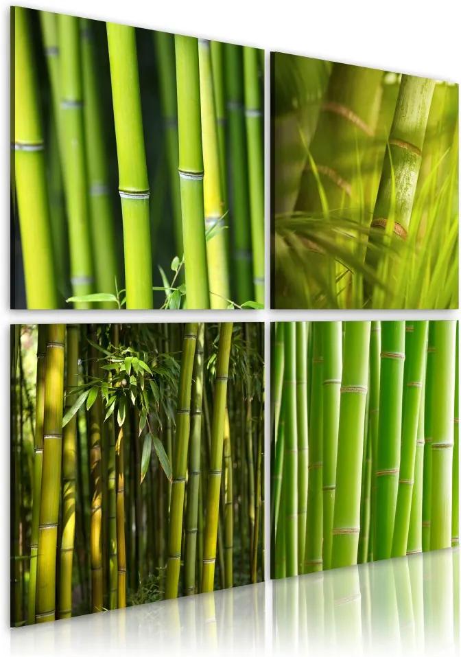 Obraz na plátne Bimago - Bamboos 40x40 cm
