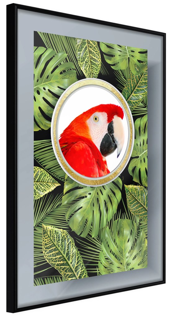 Artgeist Plagát - Parrot In The Jungle [Poster] Veľkosť: 20x30, Verzia: Čierny rám s passe-partout