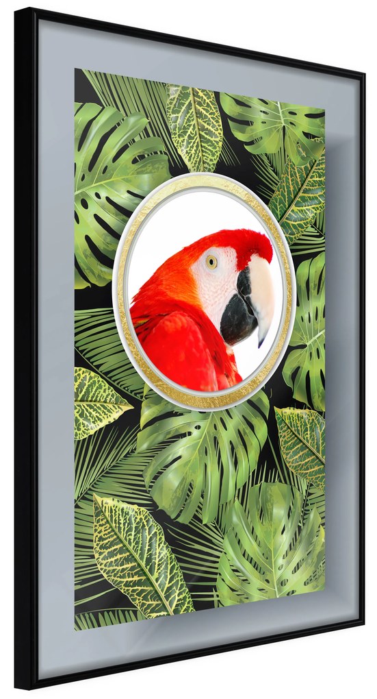 Artgeist Plagát - Parrot In The Jungle [Poster] Veľkosť: 20x30, Verzia: Zlatý rám s passe-partout