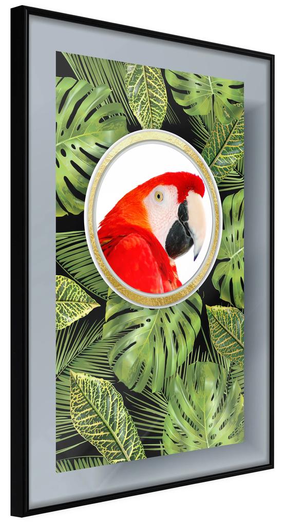 Artgeist Plagát - Parrot In The Jungle [Poster] Veľkosť: 30x45, Verzia: Zlatý rám s passe-partout