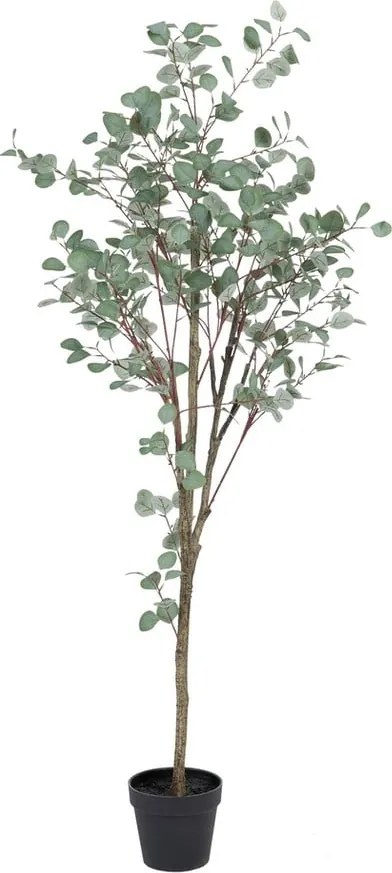 Umelý eukalyptus (výška 180 cm) Eucalyptus – Ixia