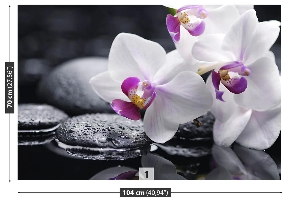 Fototapeta Vliesová Orchidea 104x70 cm
