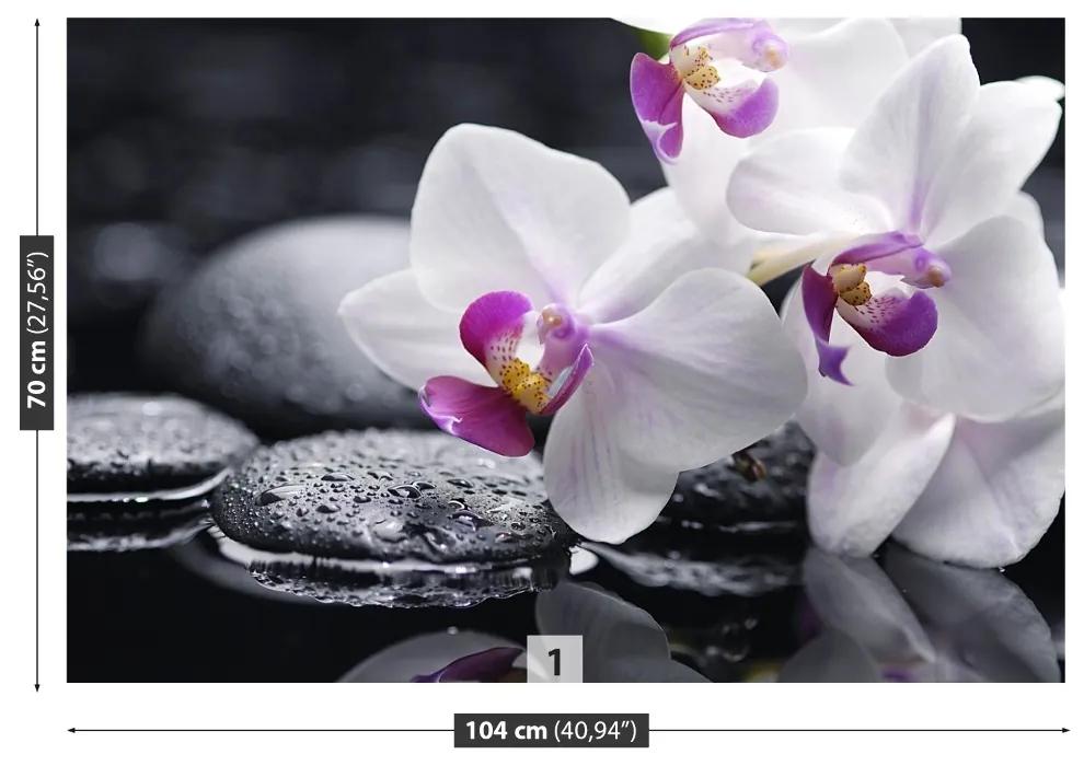 Fototapeta Vliesová Orchidea 416x254 cm